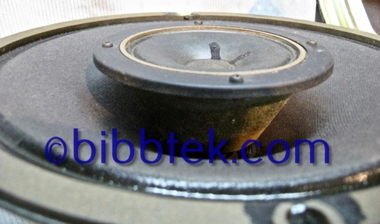Afbeelding van Japan Industries Akai 10" Coaxial drivers, (Pair) NKS 5DG