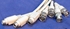 Afbeelding van Sun Microsystems Break Out cables, DB 26 Male to Video