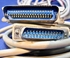 Afbeelding van Centronics 36 to DB25 Cables, Gold flashed.